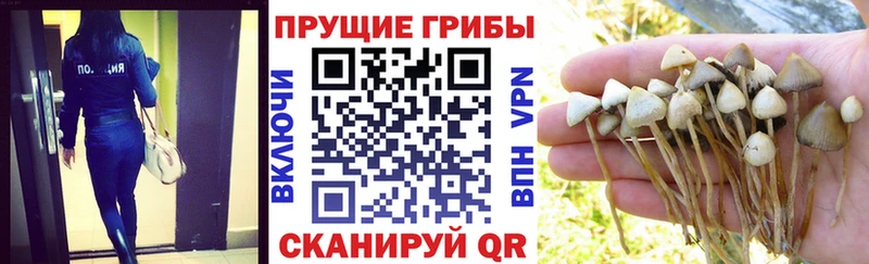 Купить  Гудермес  Галлюциногенные грибы мухоморы 